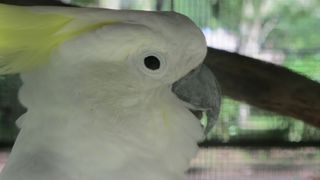 Zoo Santo Domingo