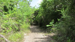 Parque Nacional del Este