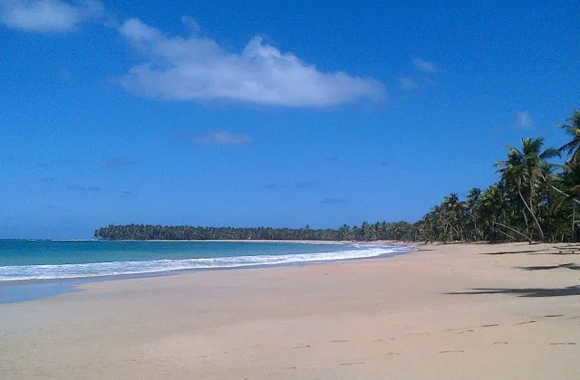 La Playa Limon Miches Republica Dominicana